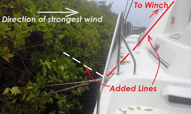 Mangrove Hurricane lines PT
